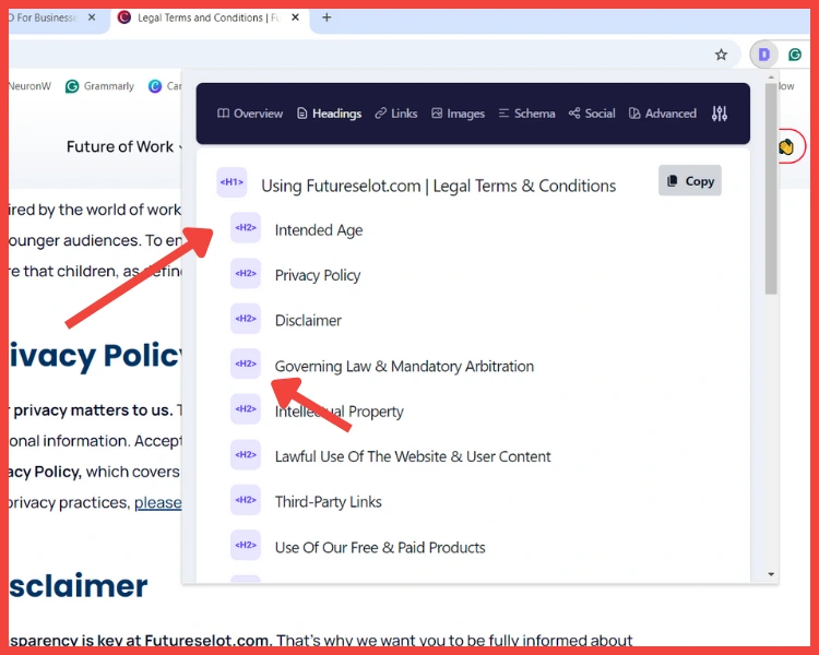 FutureSelot.com On Page SEO Optimization